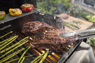Weber Spirit E-425 Zwart