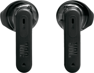 JBL Tune Flex 2 Ghost Zwart