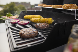 Weber Spirit E-210
