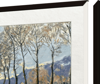 TCL Frame Black 65 inch