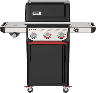 Weber Spirit EP-335