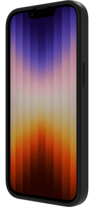 BlueBuilt iPhone 17e/16e Back Cover Zwart