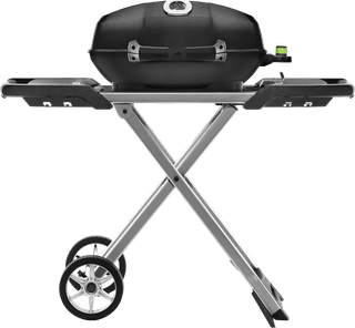 Napoleon TravelQ PRO285X