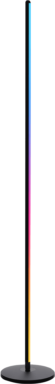 Govee Floor Lamp Basic