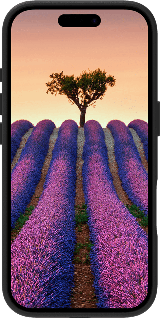 DBramante1928 Roskilde Apple iPhone 17 Back Cover met MagSafe Leer Zwart