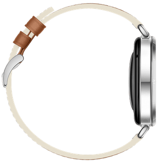 Huawei Watch GT 6 41 mm Zilver/Bruin