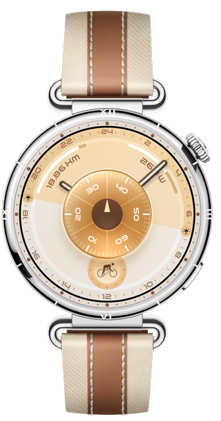 Huawei Watch GT 6 41 mm Zilver/Bruin