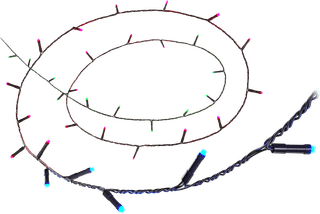 WiZ Slimme Lichtslinger - 20 meter - 160 LED