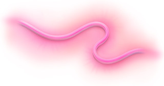 WiZ Lightstrip voor buiten - Gekleurd en wit licht - 5m