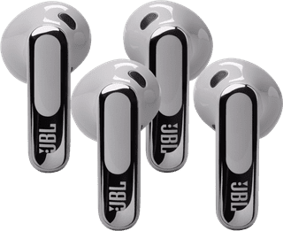 JBL Live Flex 3 Silver Duo Pack