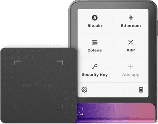 Ledger Flex incl. Recovery Key Crimson Magenta