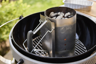 Weber Performer