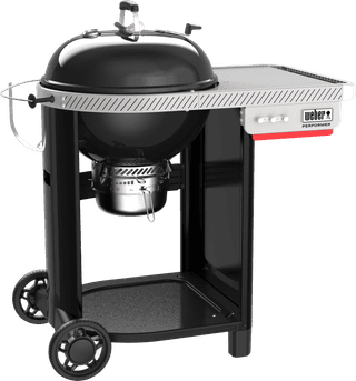 Weber Performer