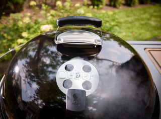 Weber Performer Smart