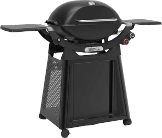 Weber Q 3200N+ with Underframe