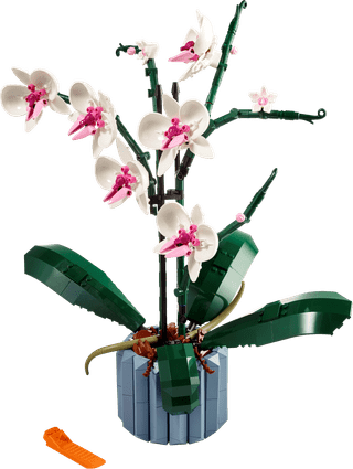 LEGO Botanicals Orchidee 10311