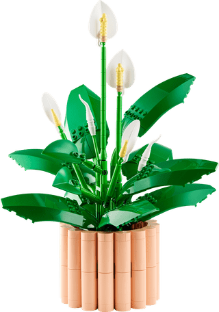 LEGO Botanicals Lepelplant 11504