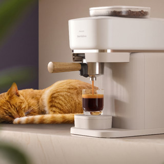 Philips Baristina BAR307/20 Wit