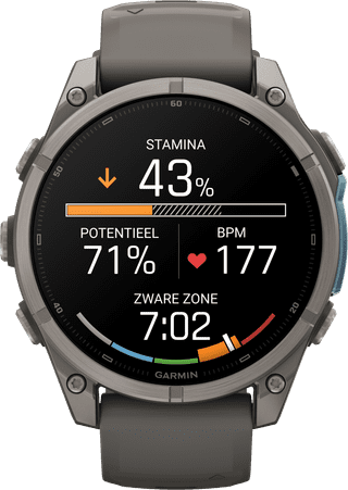 Garmin Fenix 9 Grijs 47mm