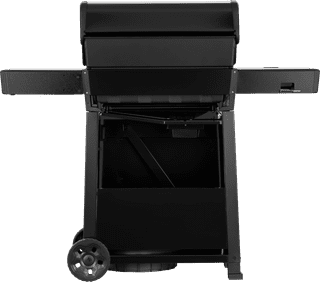 Napoleon Freestyle PRO 425 DSIB