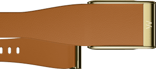 WHOOP MG LeatherLuxe Tapered Band Bruin/Goud S/M