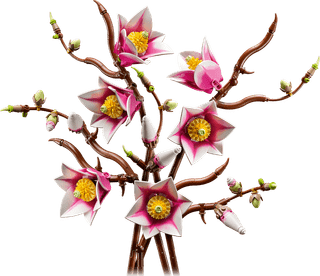 LEGO Botanicals Magnoliatakken 11510
