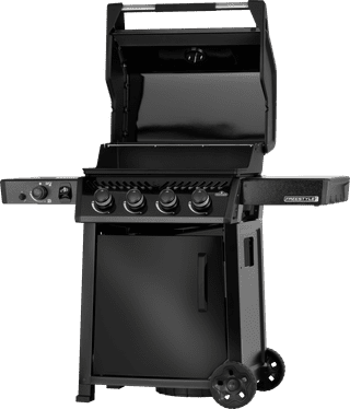 Napoleon Freestyle PRO 425 DSIB