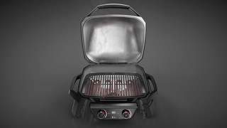 Weber Pulse 2000