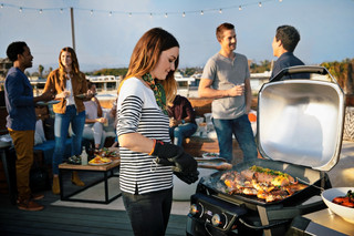 Weber Pulse 2000 met Onderstel