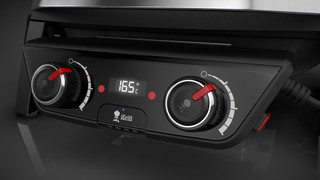 Weber Pulse 2000
