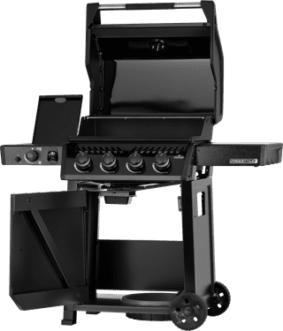 Napoleon Freestyle PRO 425 DSIB