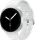 Kleur: Zilver