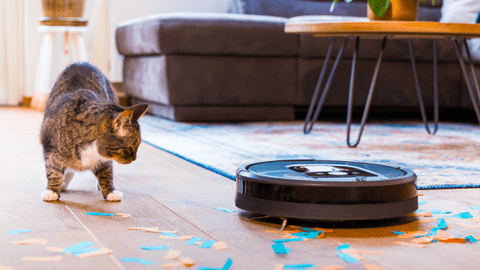 Vacuums for pet hairs