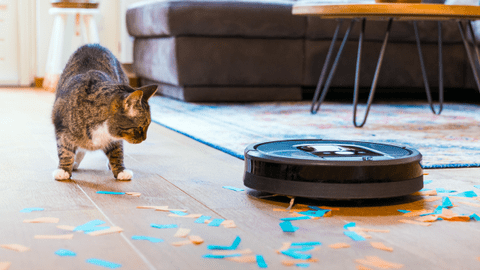 Robot vacuums for animal hair