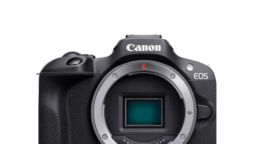 Mirrorless cameras for beginners