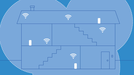 mesh wifi