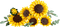 LEGO Botanicals Boeket met Zonnebloemen 11502
