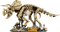 LEGO Jurassic World Dinosaurusfossielen: Triceratops 77985