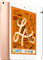 iPad Mini 5 + Stylus