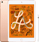 iPad Mini 5 Goud + Apple Pencil