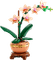 LEGO Botanicals Mini Orchidee 10343