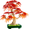 LEGO Botanicals Japanse Esdoorn Bonsaiboompje 10348