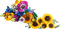 Veldbloemen en Zonnebloemen Set