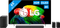 LG OLED 65" B6 (2026) + LG DS70TR