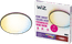 WiZ Plafondlamp Rune - Gekleurd en wit licht - zwart