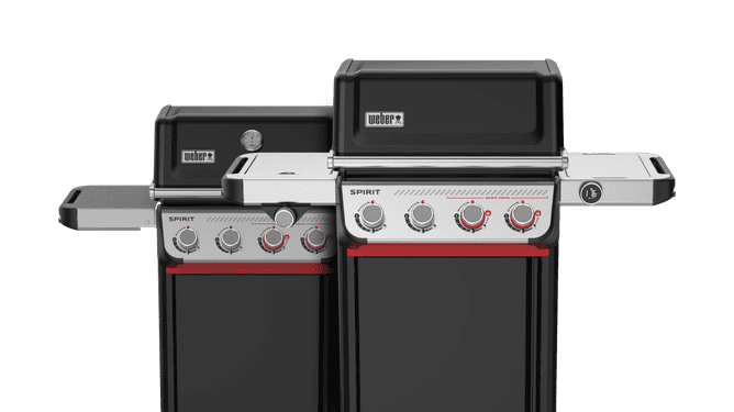 Alle Weber Spirit