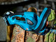 Makita DUH523Z incl. 3.0Ah battery (2x) product in use