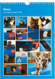 Coolblue Cat Calendar (Dutch) back