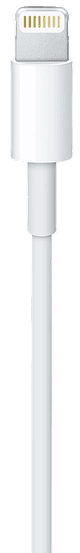 Apple USB-A to Lightning Cable 1m Plastic White Duo Pack null