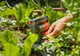 Gardena Swing Nozzle AquaZoom Compact product in use